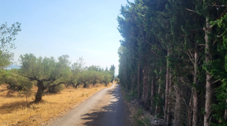Tarragona - Mas de Barberans - 56000m2