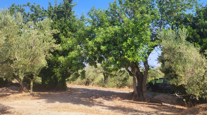 Tarragona - Mas de Barberans - 56000m2