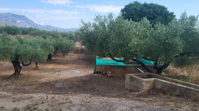 Tarragona - Mas de Barberans - 56000m2