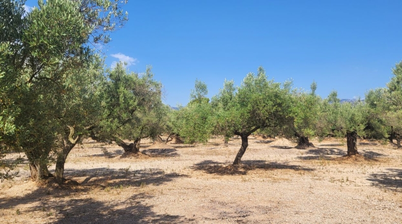 Tarragona - Mas de Barberans - 56000m2