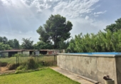 Xalet independent amb terreny en venda a Oliva ref.: TR419227 foto