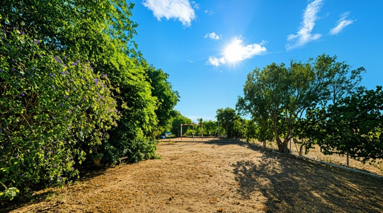 Cádiz - Чиклана-де-ла-Фронтера - 8320m2