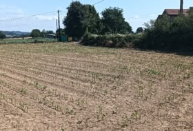 A Gándara 2000&nbsp;m² 