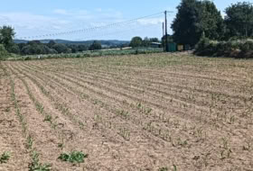 A Gándara 2000&nbsp;m² 