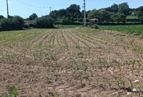 A Gándara 2000&nbsp;m² 