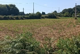 A Gándara 2000&nbsp;m² 