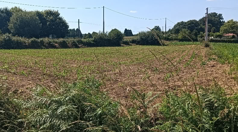 La Coruña - A Gándara - 2000m2