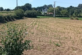 A Gándara 2000&nbsp;m² 