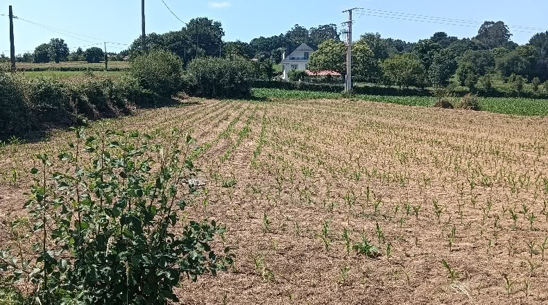 La Coruña - A Gándara - 2000m2