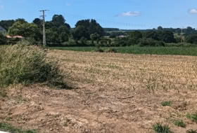 A Gándara 2000&nbsp;m² 