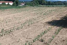A Gándara 2000&nbsp;m² 