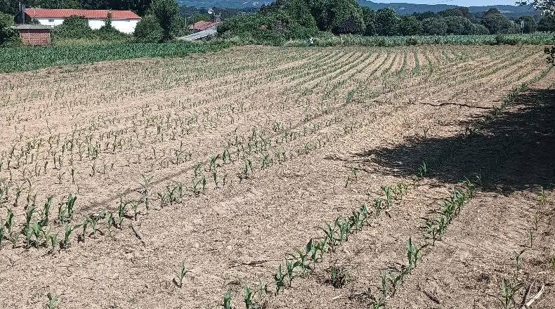 La Coruña - A Gándara - 2000m2