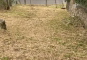 Terreny no urbanitzable en venda a la RUA DOS CASTROS (bajada a playa), Nerga, ref.: TR419387 foto