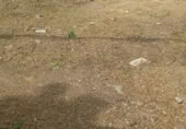 Land suitable for development for sale on , Priego de Córdoba, ref: TR419391 photo