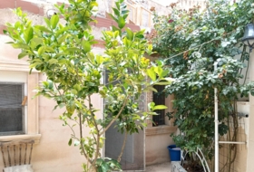 Aspe 249&nbsp;m²
