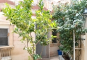 Village house for sale on España, Aspe, ref: TR419398 photo