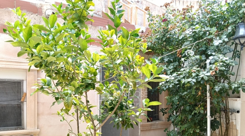 Alicante - Aspe - 249m2