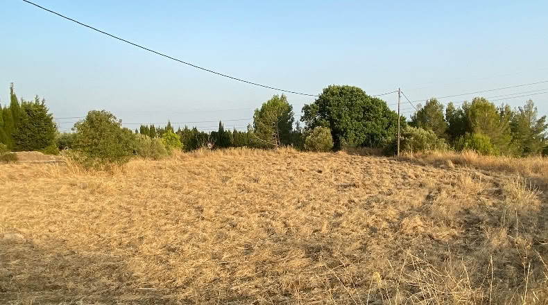 Tarragona - Almoster - 5377m2