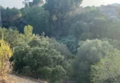 Земля на продажу у города Almoster Фото