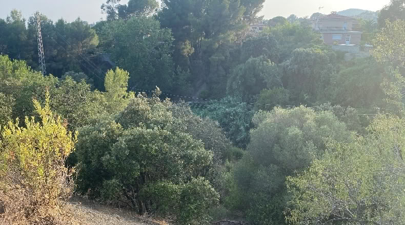 Tarragona - Almoster - 5377m2