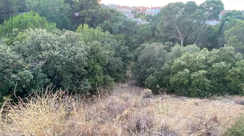 Tarragona - Almoster - 5377m2