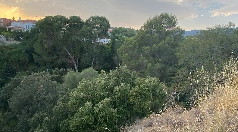 Tarragona - Almoster - 5377m2