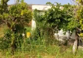 Terreny en venda a la , Bentarique, ref.: TR419407 foto