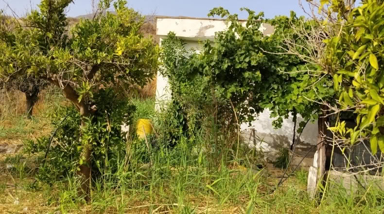 Almeria - Bentarique - 1800m2