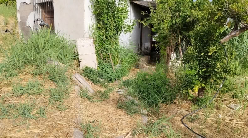 Almeria - Bentarique - 1800m2