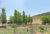 Casa de campo con terreno en venta en la Avenida de Almería, Píñar, ref: TR419405 foto