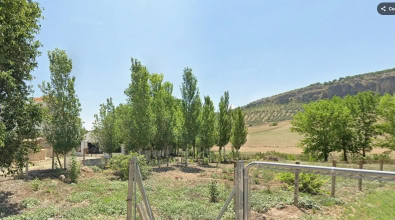 Granada - Píñar - 2345m2