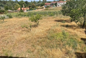 Foto 18