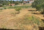 Дом с участком на продажу в городе A Forxa. Фото