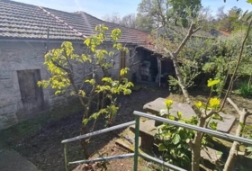 Foto 19