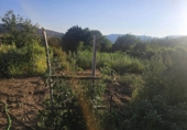 Village house for sale in Cortegada ref: TR419432 photo