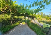 Village house for sale in Cortegada ref: TR419432 photo