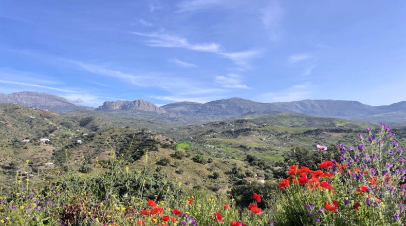 Málaga - Comares - 944m2