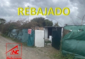 Terreno no urbanizable en venta en Las Cabezas de San Juan ref: TR393717 foto