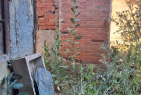 Foto 10