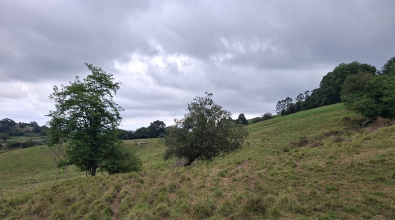 Cantabria - Los Corrales - 2073m2