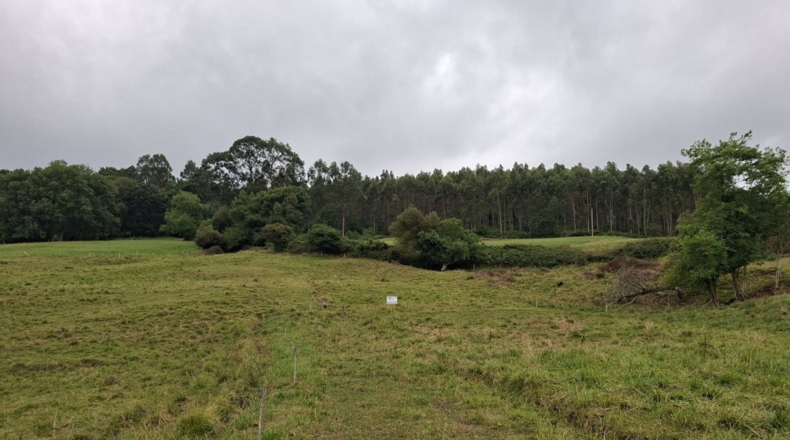 Cantabria - Los Corrales - 2073m2