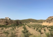 Non-developable land for sale on España, Sorbas, ref: TR419457 photo