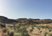 Non-developable land for sale on España, Sorbas, ref: TR419457 photo