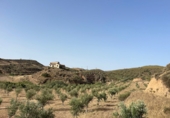 Non-developable land for sale on España, Sorbas, ref: TR419457 photo