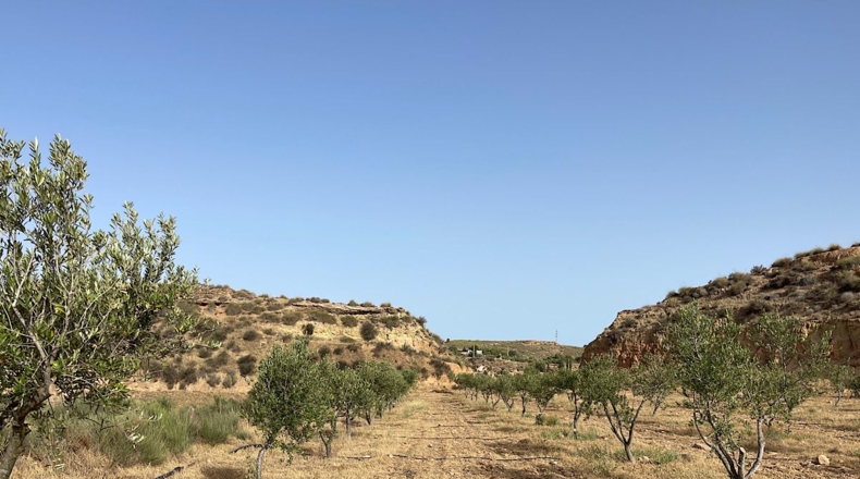 Almeria - Sorbas - 100000m2