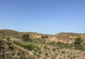 Non-developable land for sale on España, Sorbas, ref: TR419457 photo