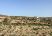 Non-developable land for sale on España, Sorbas, ref: TR419457 photo