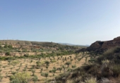 Non-developable land for sale on España, Sorbas, ref: TR419457 photo