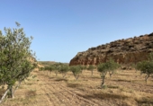 Non-developable land for sale on España, Sorbas, ref: TR419457 photo