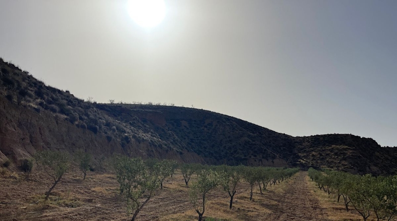 Almeria - Sorbas - 100000m2